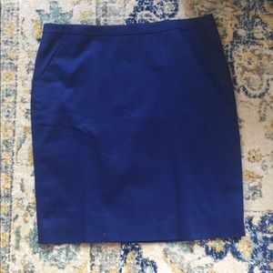 Blue Garnet Hill Skirt